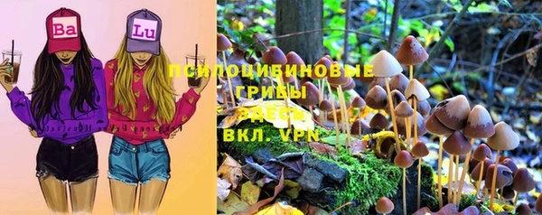 2c-b Алексеевка