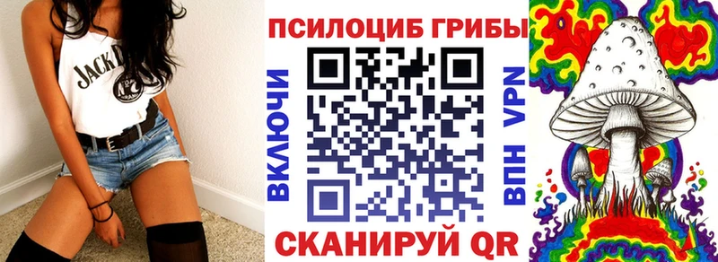 как найти закладки  Шуя  Галлюциногенные грибы мухоморы 