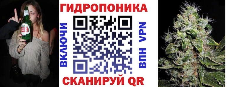 дарк нет как зайти  купить наркотик  Шуя  Шишки марихуана индика 